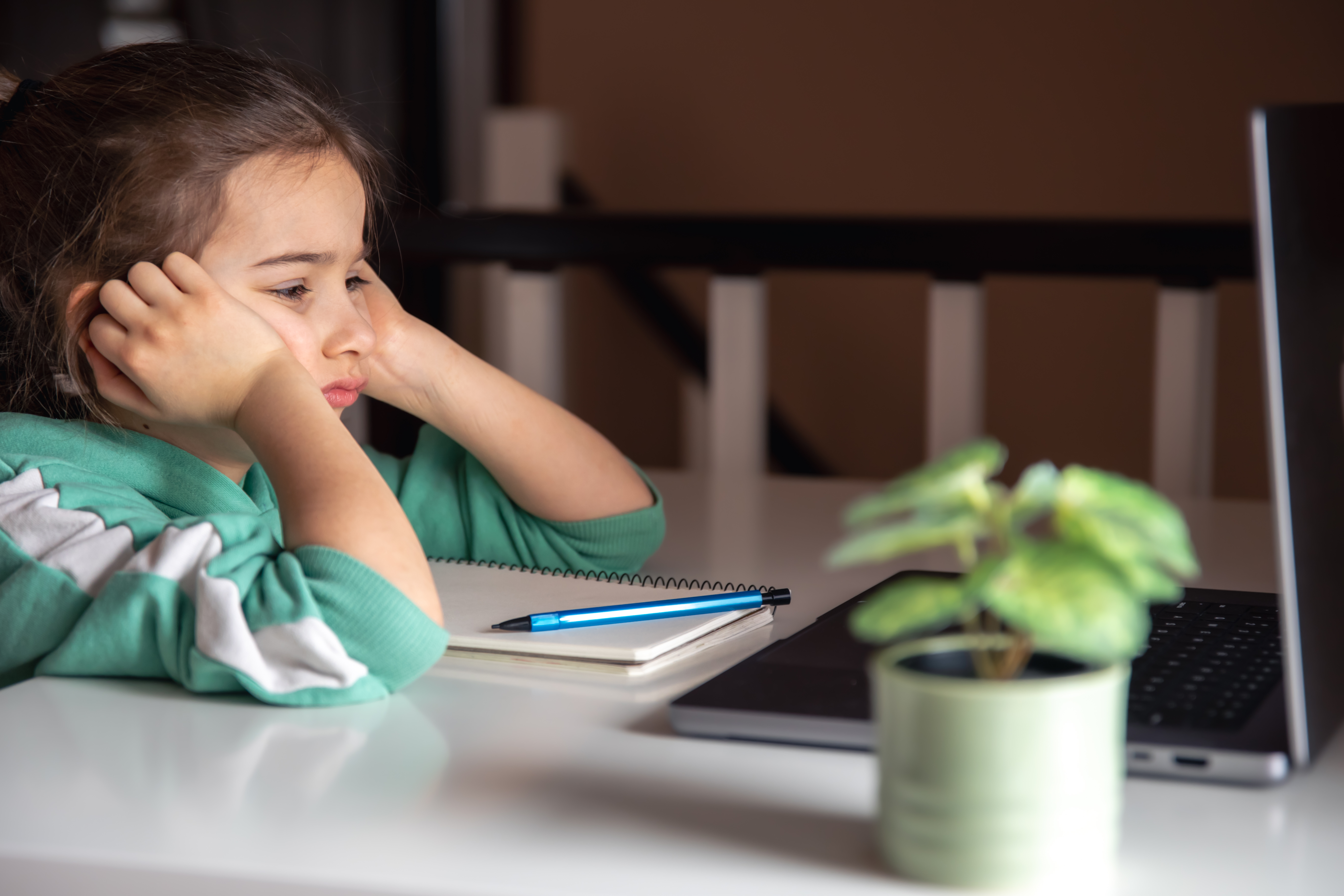 homework support session