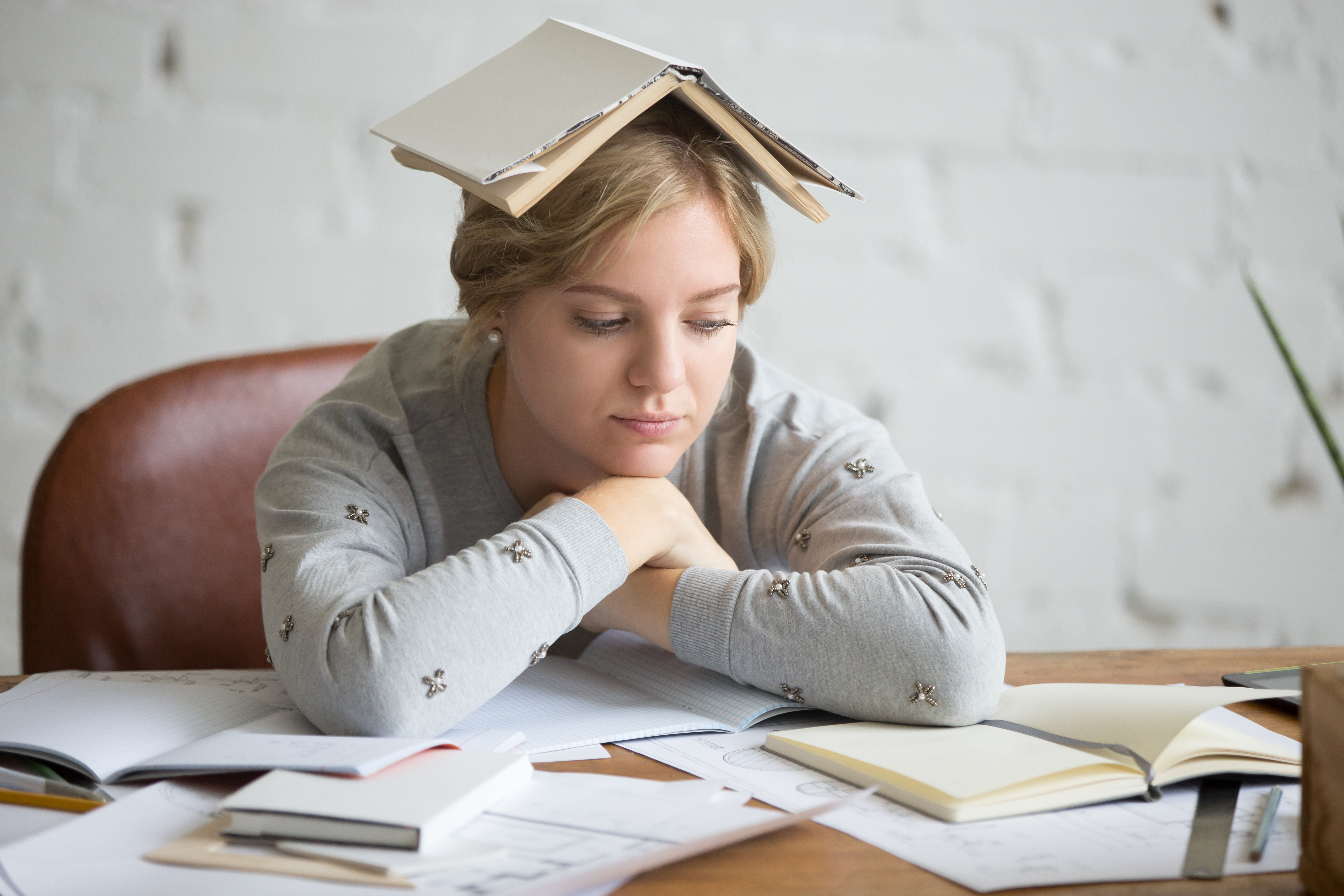 homework support for secondary students